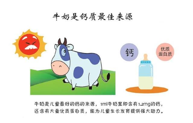 牛奶是鈣質(zhì)最佳來源.jpg 牛奶是鈣質(zhì)最佳來源.jpg
