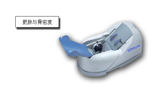 肥胖與骨密度.png 肥胖與骨密度.png