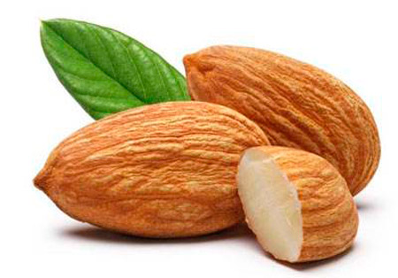 2017.5.11.4501.jpg 2017.5.11.4501.jpg